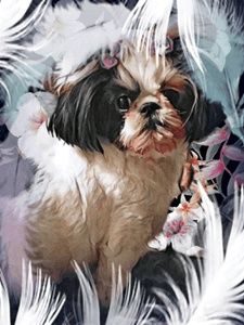 Meet your Posher, Anabel